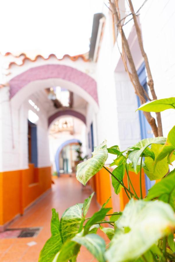 تاريخا Hostal Zeballos المظهر الخارجي الصورة
